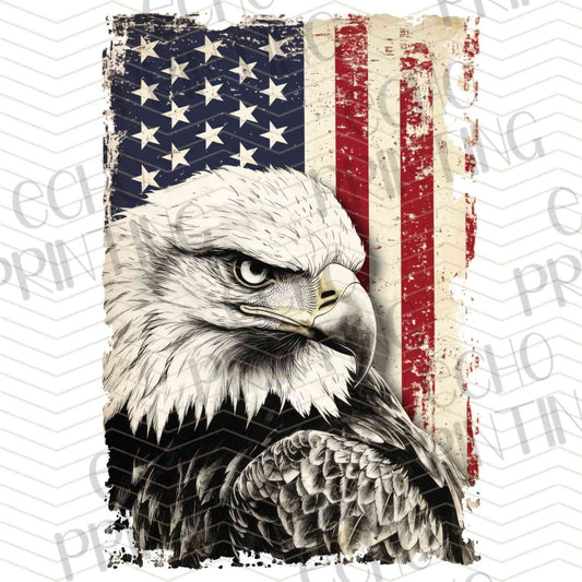 FOJG 465 - AMERICA TYPO HAND