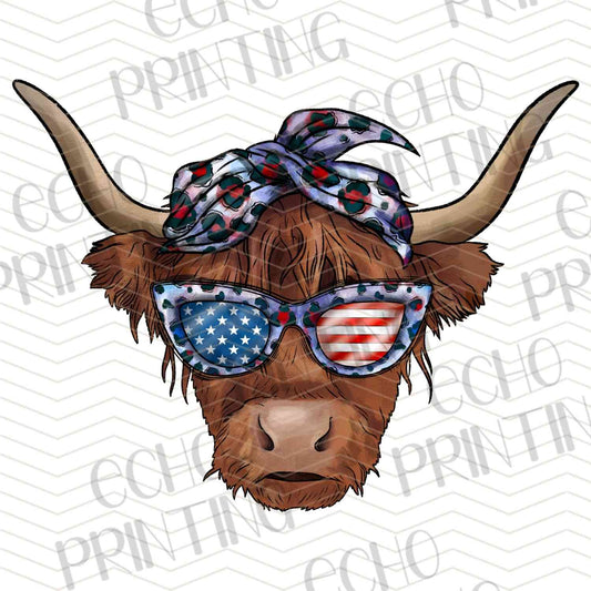 FOJG 494 - PATRIOTIC LONGHORN COOLER