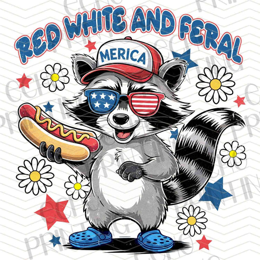 FOJG 543 - PATRIOTIC RACCOON
