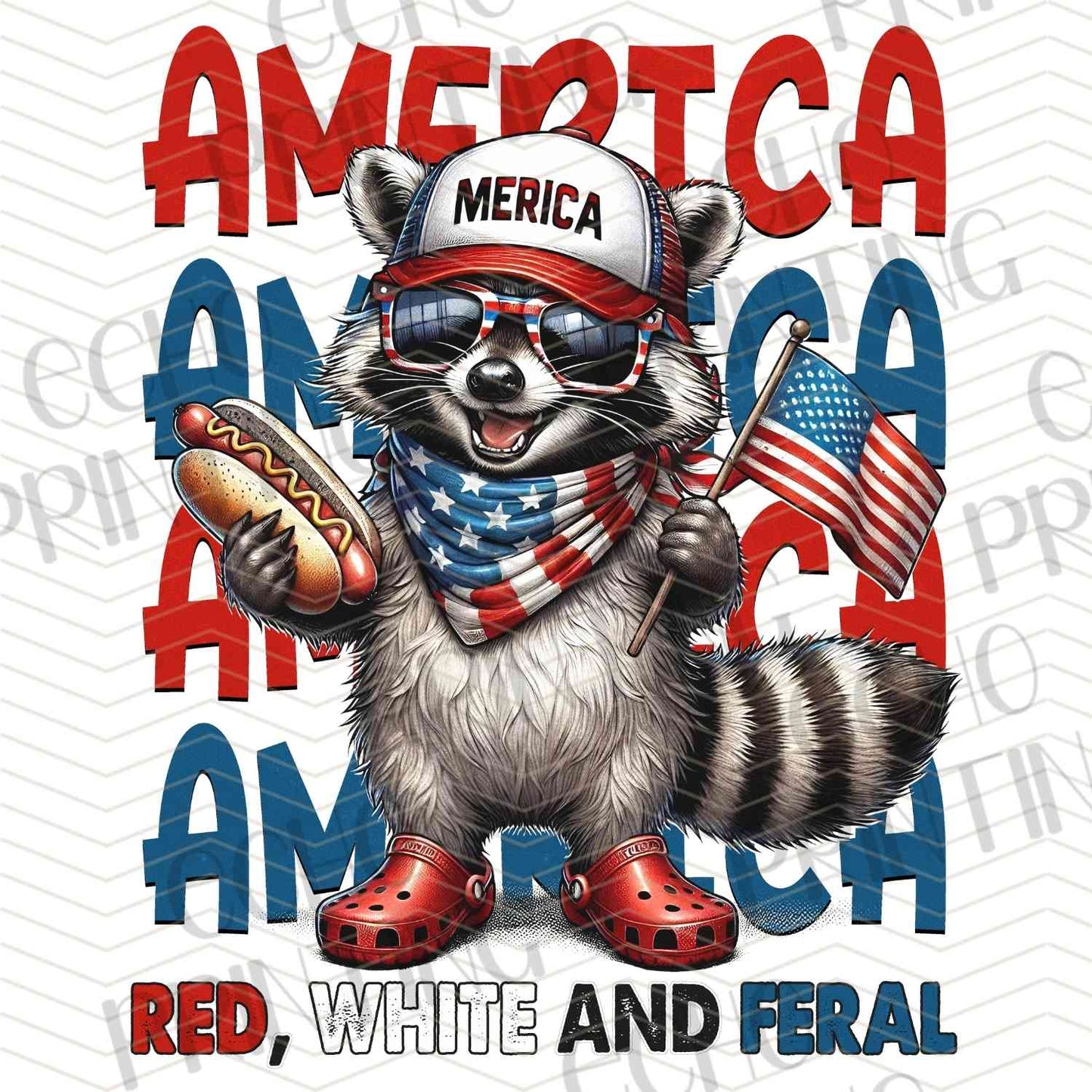 FOJG 562 - AMERICA RACCOON PRIDE