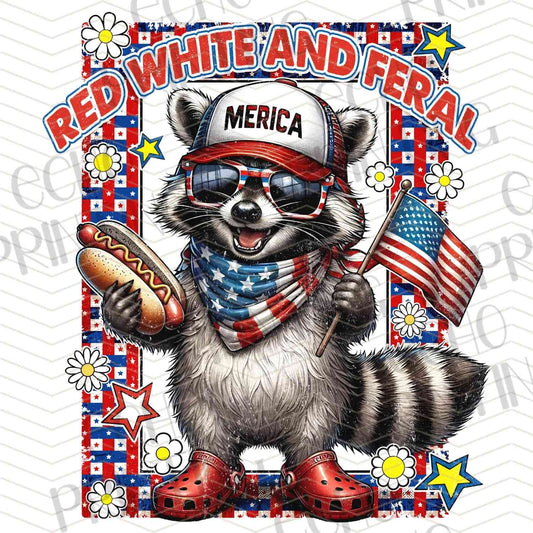FOJG 567 - PATRIOT RACCOON