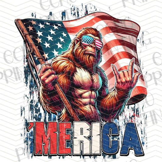 FOJG 596 - WE THE MERICA