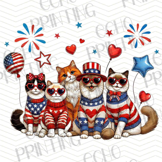 FOJG 610 - PATRIOTIC RACCOONS