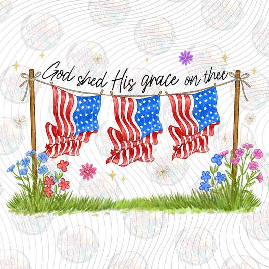 FOJG 747 - GOD BLESS THIS LAND