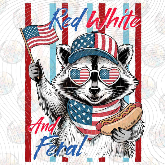 FOJG 892 - PATRIOTIC RACCOON AMERICA