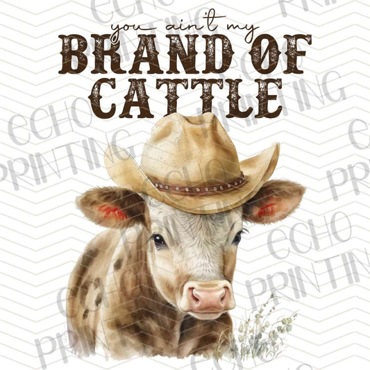 FRMG 100 – WESTERN CATTLE PORTRAIT