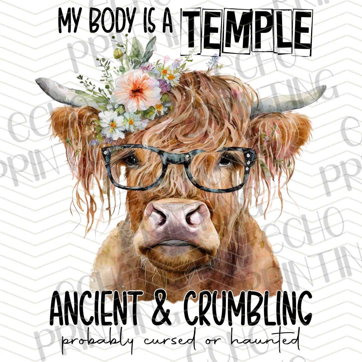 FRMG 101 – MY BODY IS A TEMPLE