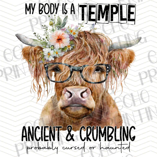 FRMG 101 – MY BODY IS A TEMPLE