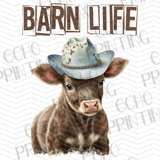 FRMG 102 – BARN LIFE COW