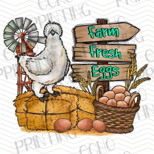 FRMG 109 – FARM FRESH EGGS