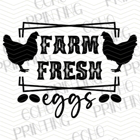 FRMG 140 – FARM FRESH EGGS