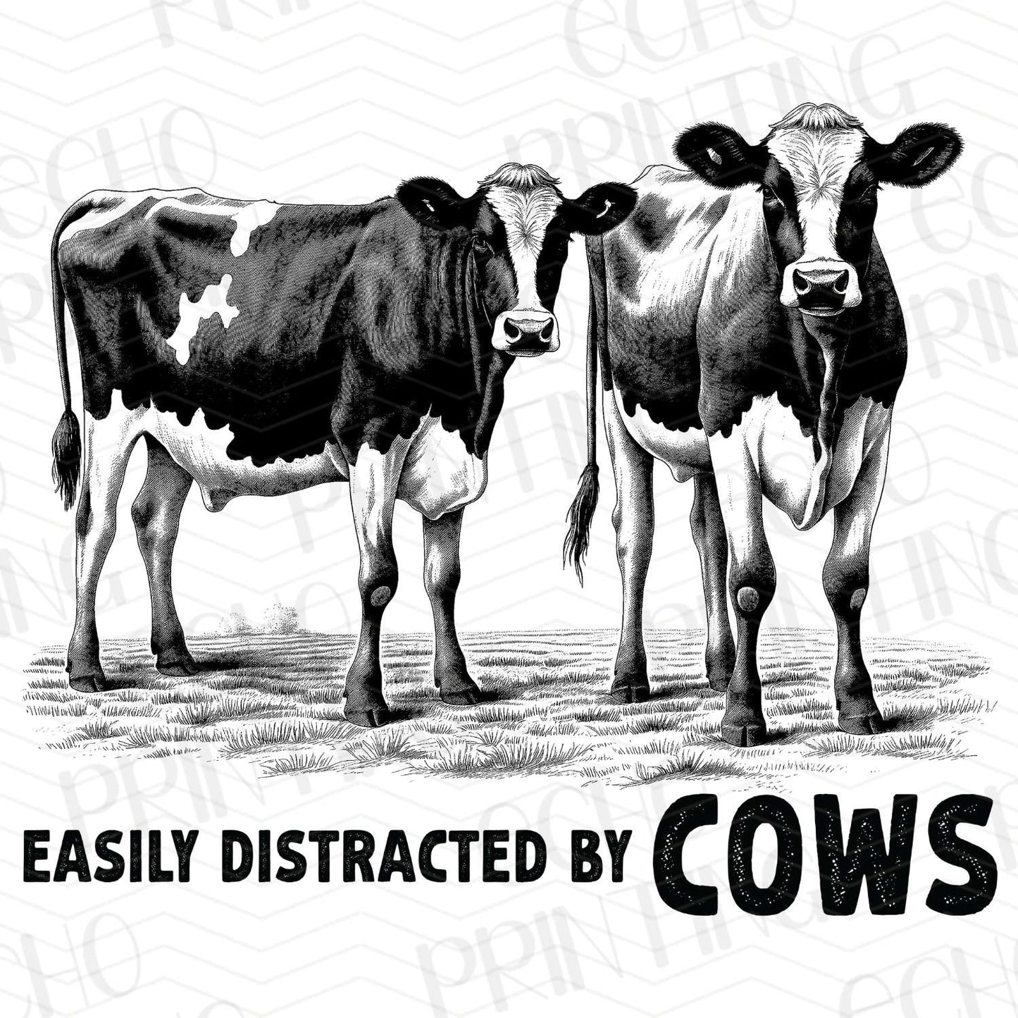 FRM 20 – EASILY DISTRACTED BY COWS