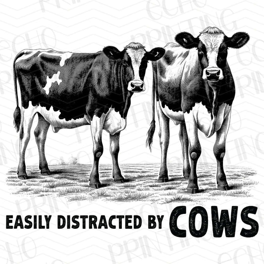 FRM 20 – EASILY DISTRACTED BY COWS