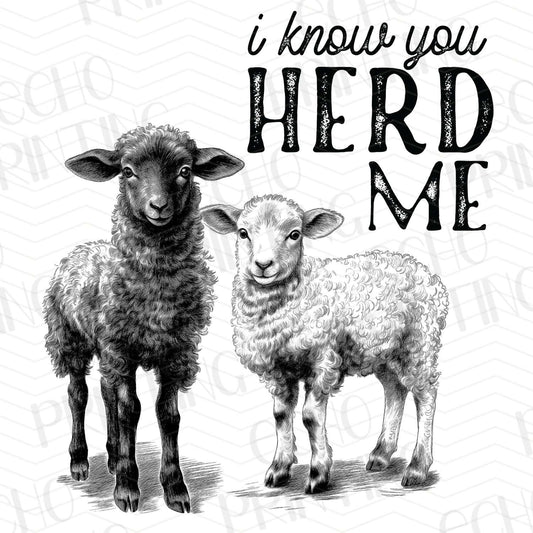 FRM 25 – I KNOW YOU HERD ME