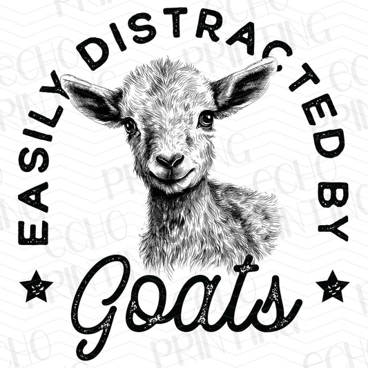 FRM 30 – EASILY DISTRACTED BY GOATS