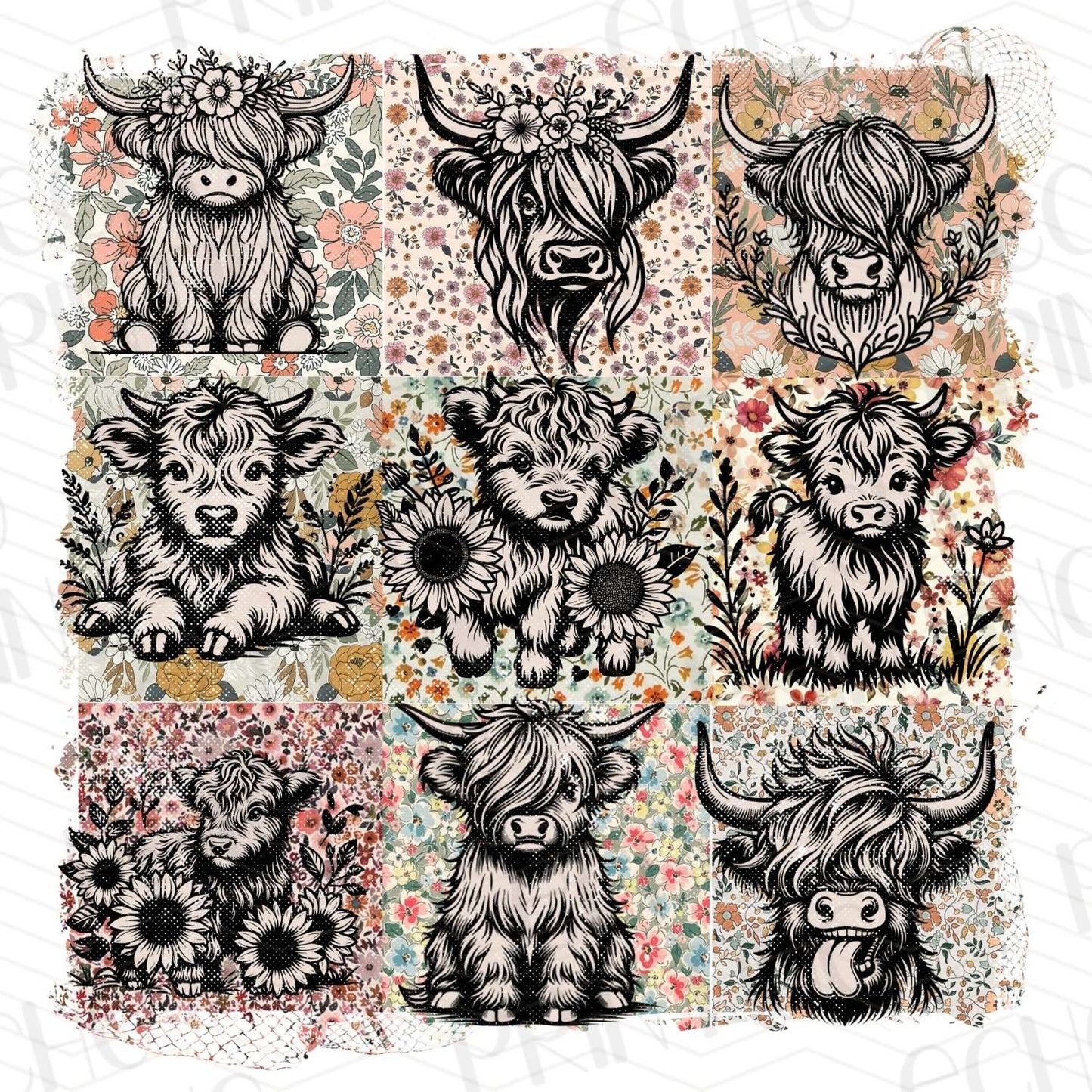 FRM 48 - HIGHLAND COW