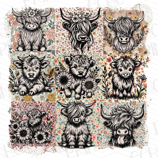 FRM 48 - HIGHLAND COW
