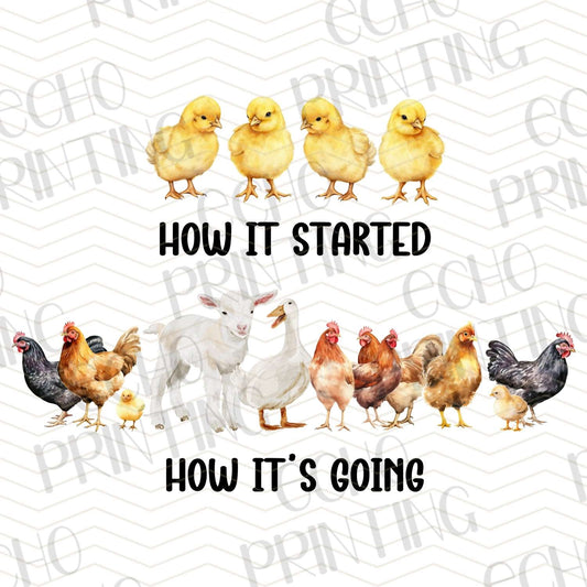 FRM 74 – CHICKEN HOW IT STARTED VS HOW IT’S GOING