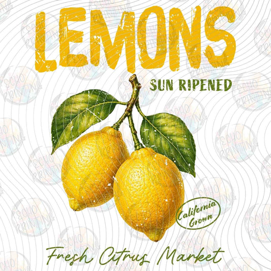 FRTS 101 - LEMONS VINTAGE FRUIT LABEL