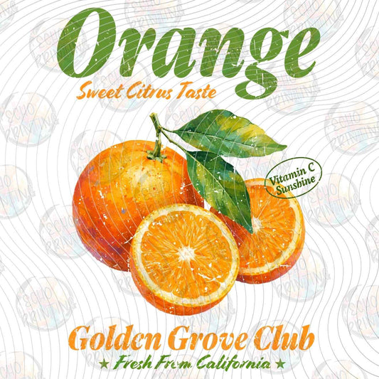 FRTS 103 - ORANGE VINTAGE FRUIT LABEL