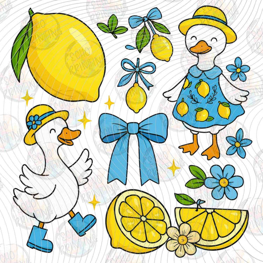 FRTS 74 - DUCKS AND LEMONS PATTERN