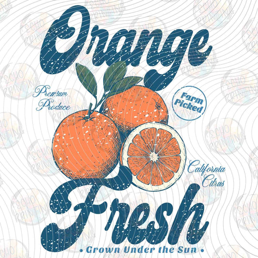 FRTS 82 - ORANGE FRESH CITRUS