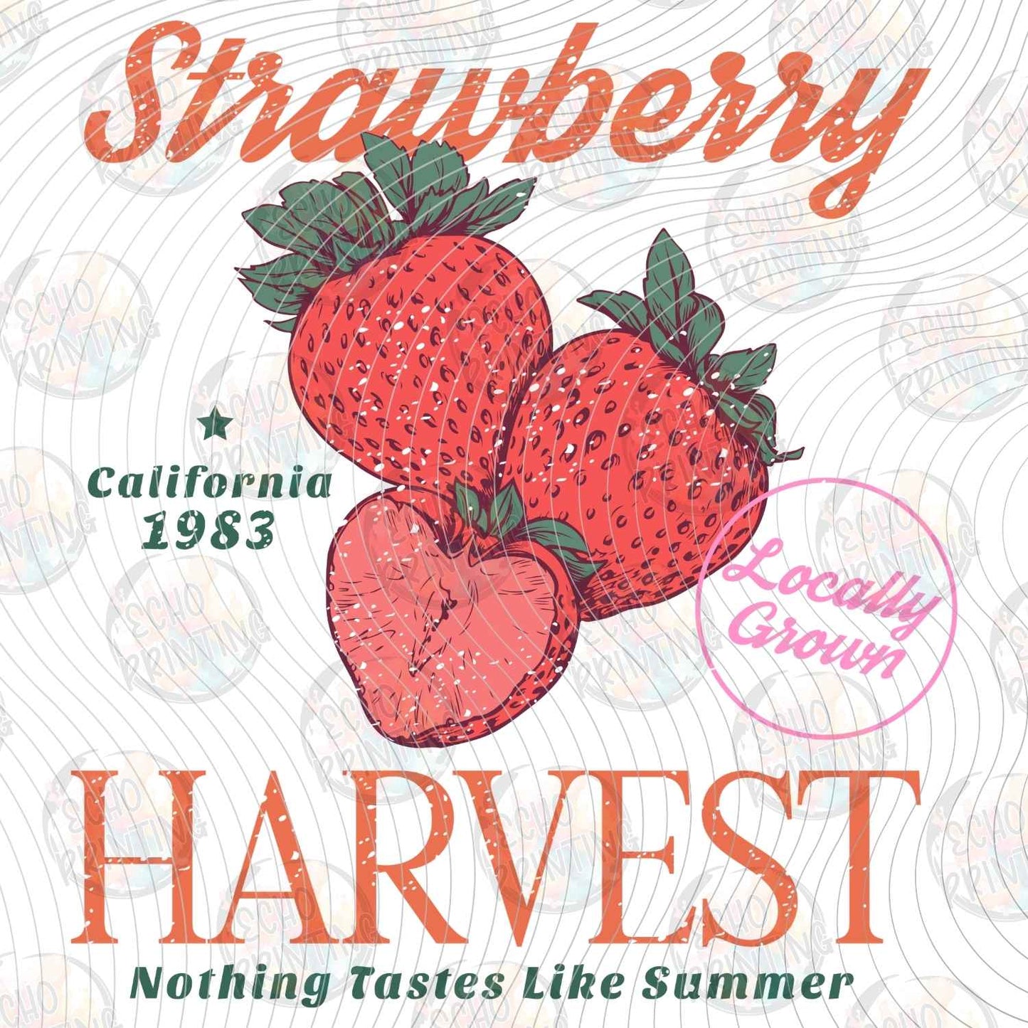 FRTS 85 - STRAWBERRY HARVEST