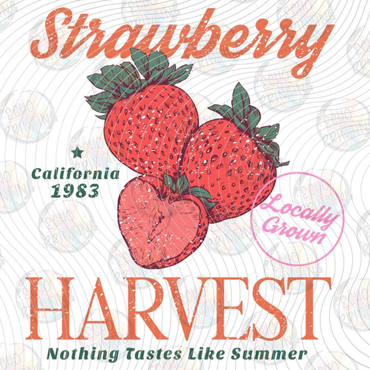 FRTS 85 - STRAWBERRY HARVEST