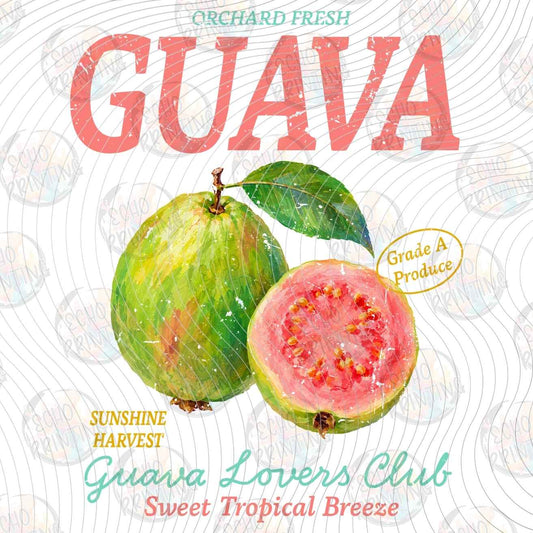 FRTS 99 - GUAVA VINTAGE FRUIT LABEL
