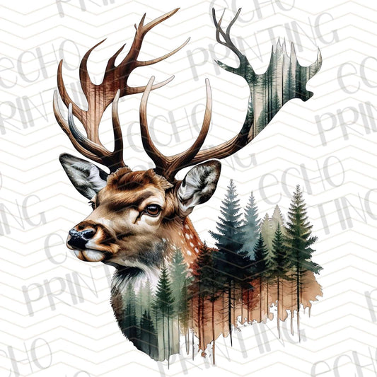 FSHT 126 – BUCK HEAD