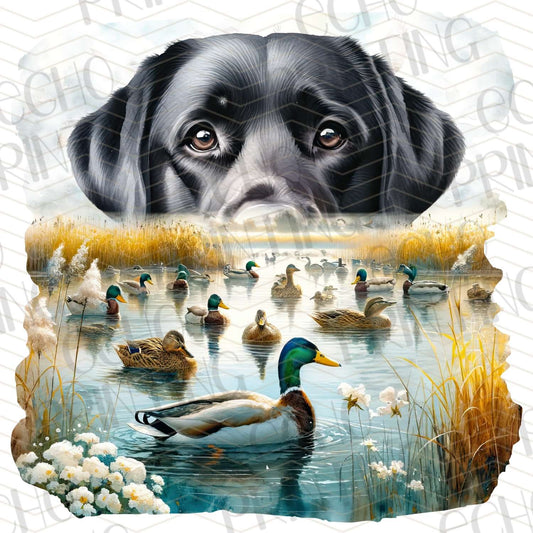 FSHT 144 – DUCK DOG RETRIEVER