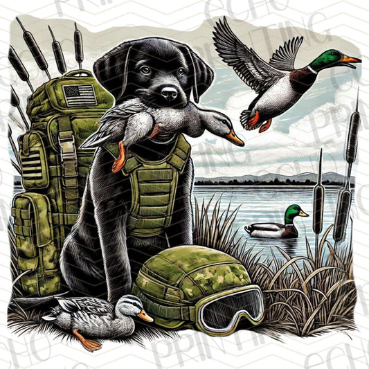 FSHT 150 – DUCK DOG RETRIEVE