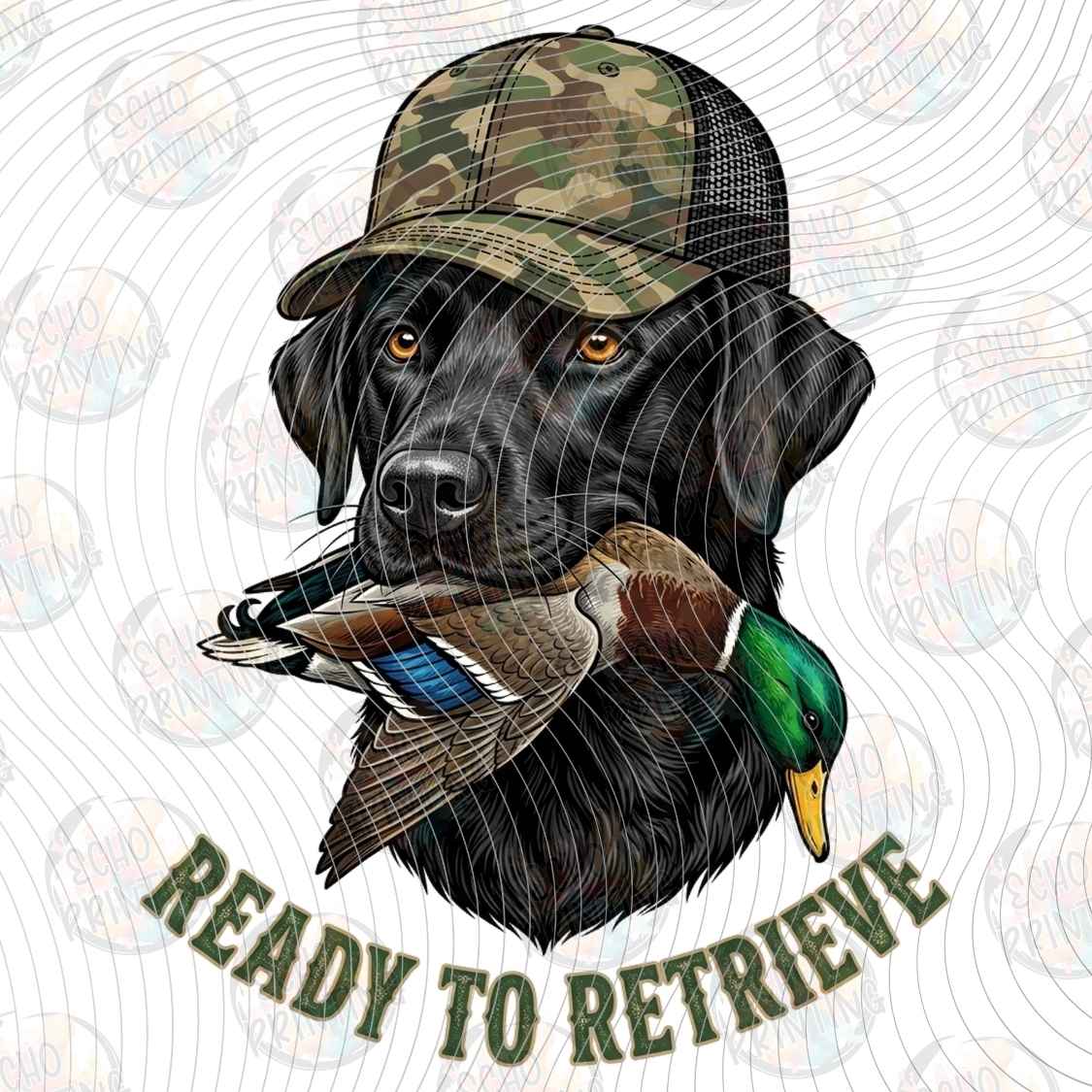 FSHT 469 - HUNTING RETRIEVER