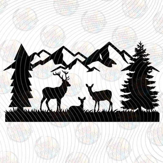 FSHT 499 - DEER MOUNTAIN SCENE