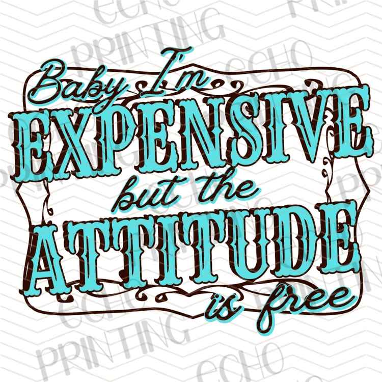 FSSG 1009 - EXPENSIVE ATTITUDE FREE OF CHARGE
