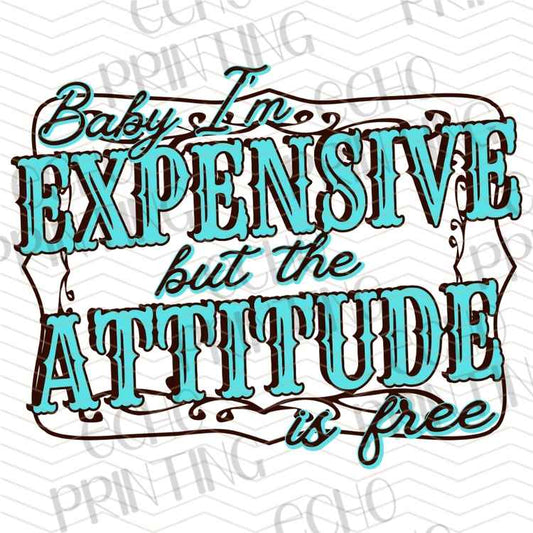 FSSG 1009 - EXPENSIVE ATTITUDE FREE OF CHARGE