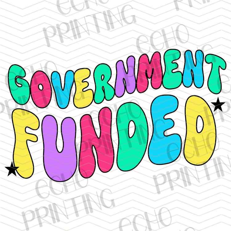 FSSG 1044 - GOVERNMENT FUNDED