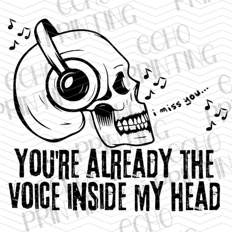 FSSG 1078 - VOICE INSIDE MY HEAD