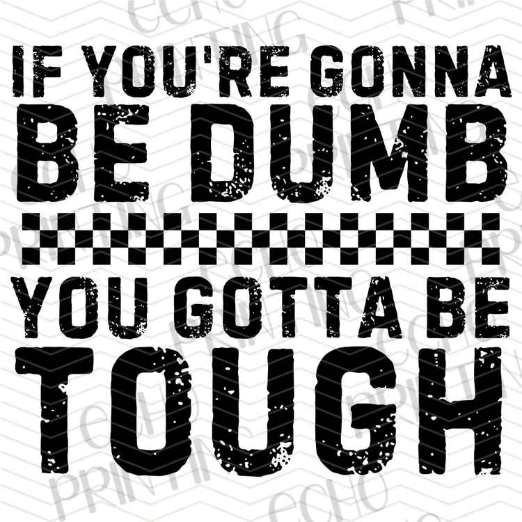 FSSG 1177 - IF YOU ARE DUMB