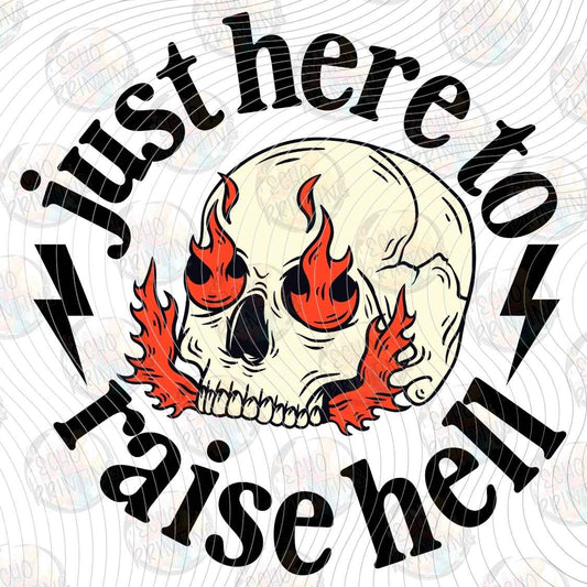 FSSG 1365 - JUST HERE TO RAISE HELL