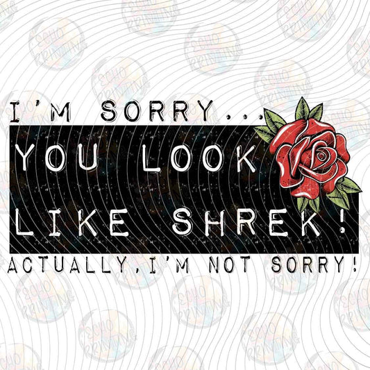 FSSG 1379 - YOU LOOK LIKE SHREK