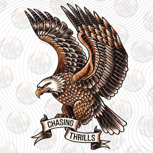 FSSG 1390 - SOARING EAGLE