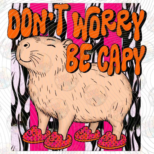 FSSG 1437 - DONT WORRY BE CAPY