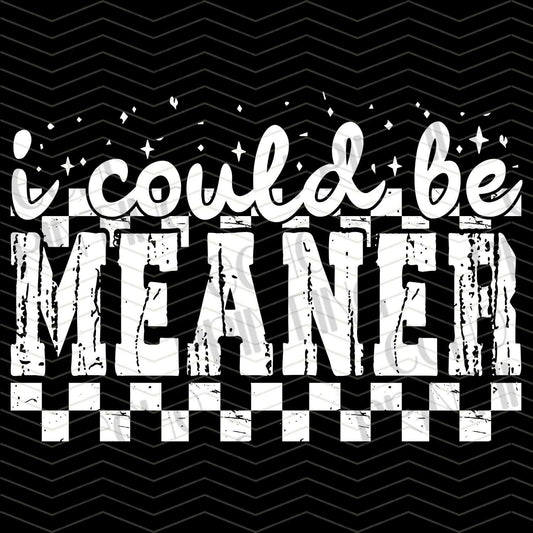 FSSG 453 - I COULD BE MEANER