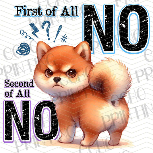 FSSG 490 - NO MEANS NO