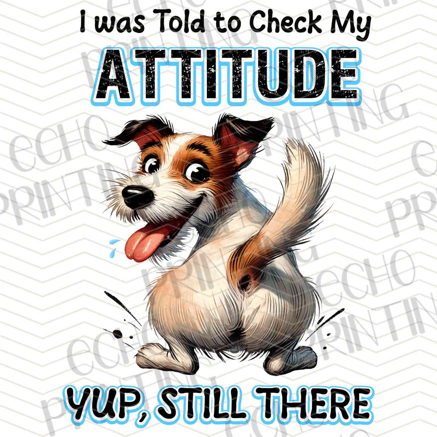 FSSG 493 - CHECK MY ATTITUDE