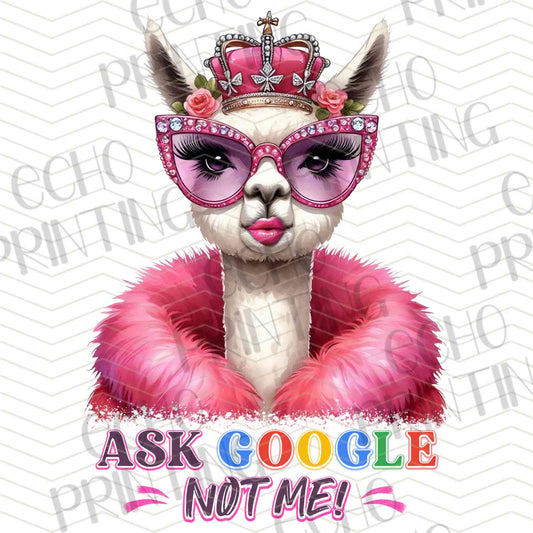 FSSG 502 - ASK GOOGLE NOT ME