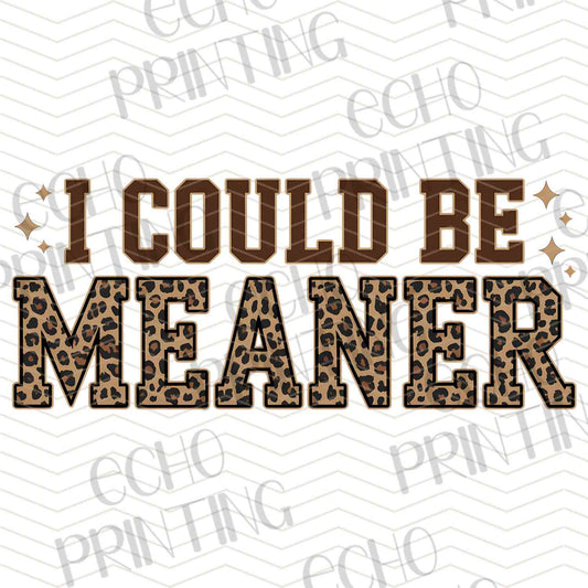 FSSG 520 - I COULD BE MEANER