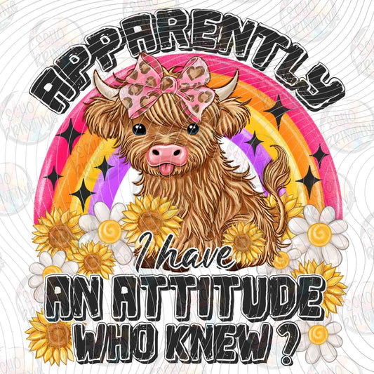 FSSG 625 - APPARENTLY I HAVE AN ATTITUDE WHO KNEW