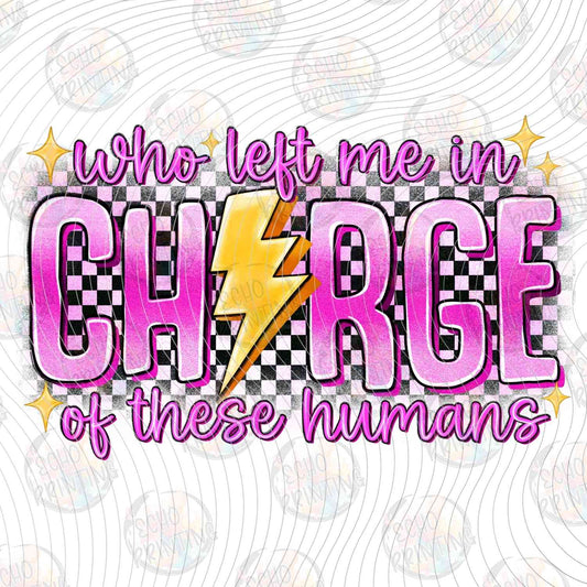 FSSG 654 - WHO LET ME IN CHARGE FUNNY QUOTE